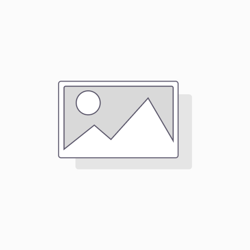 [1BD141-501] Seagate 250 GB